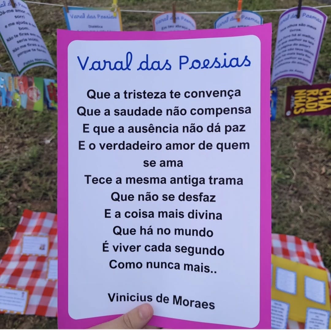 Projeto Pedagógico: Varal Literário - Imagem 8